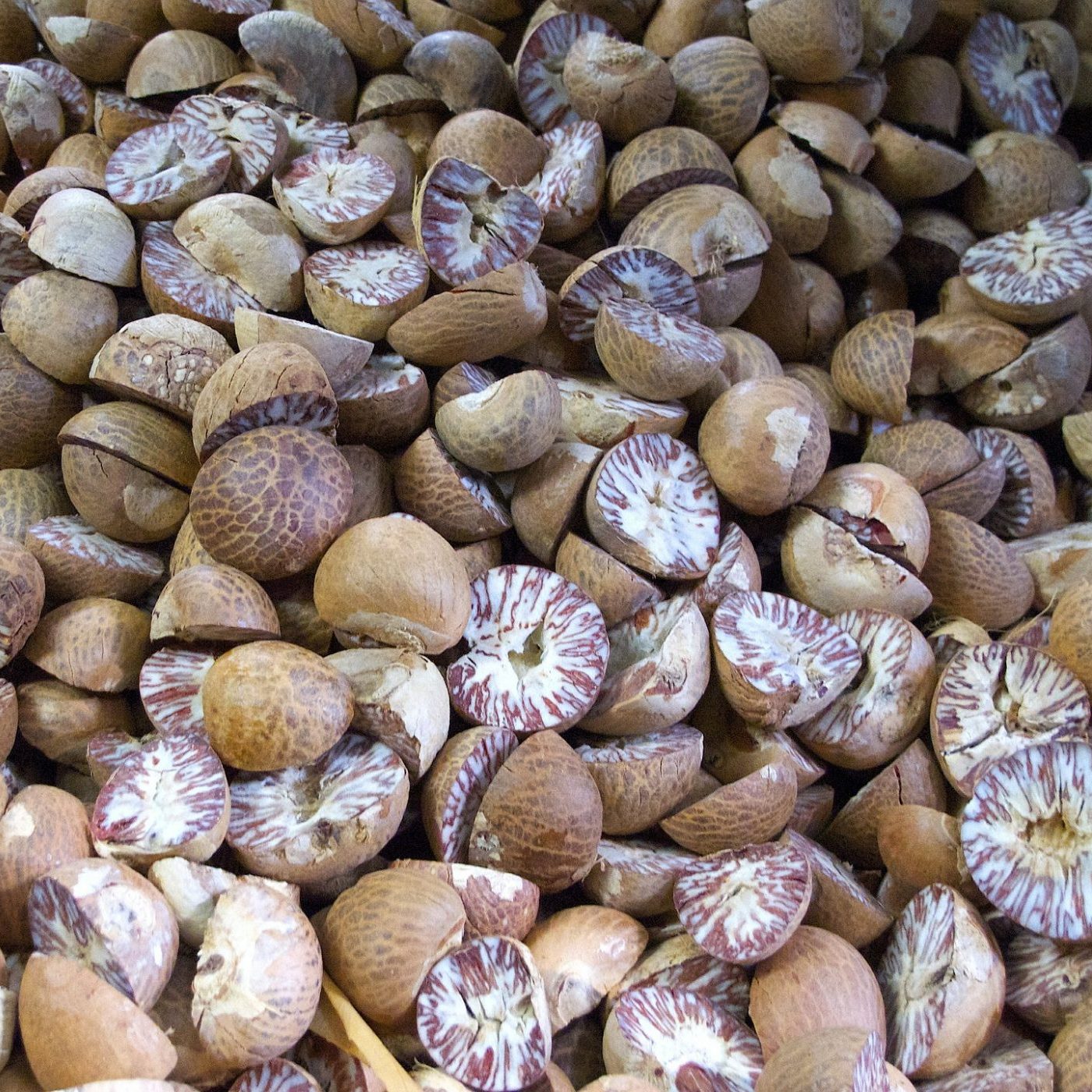nutmeg