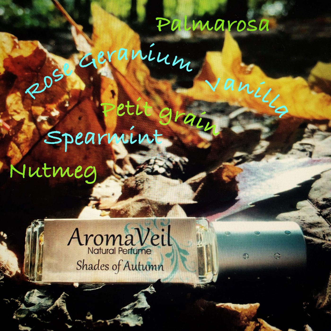 Shades of Autumn Leaves with ingredients