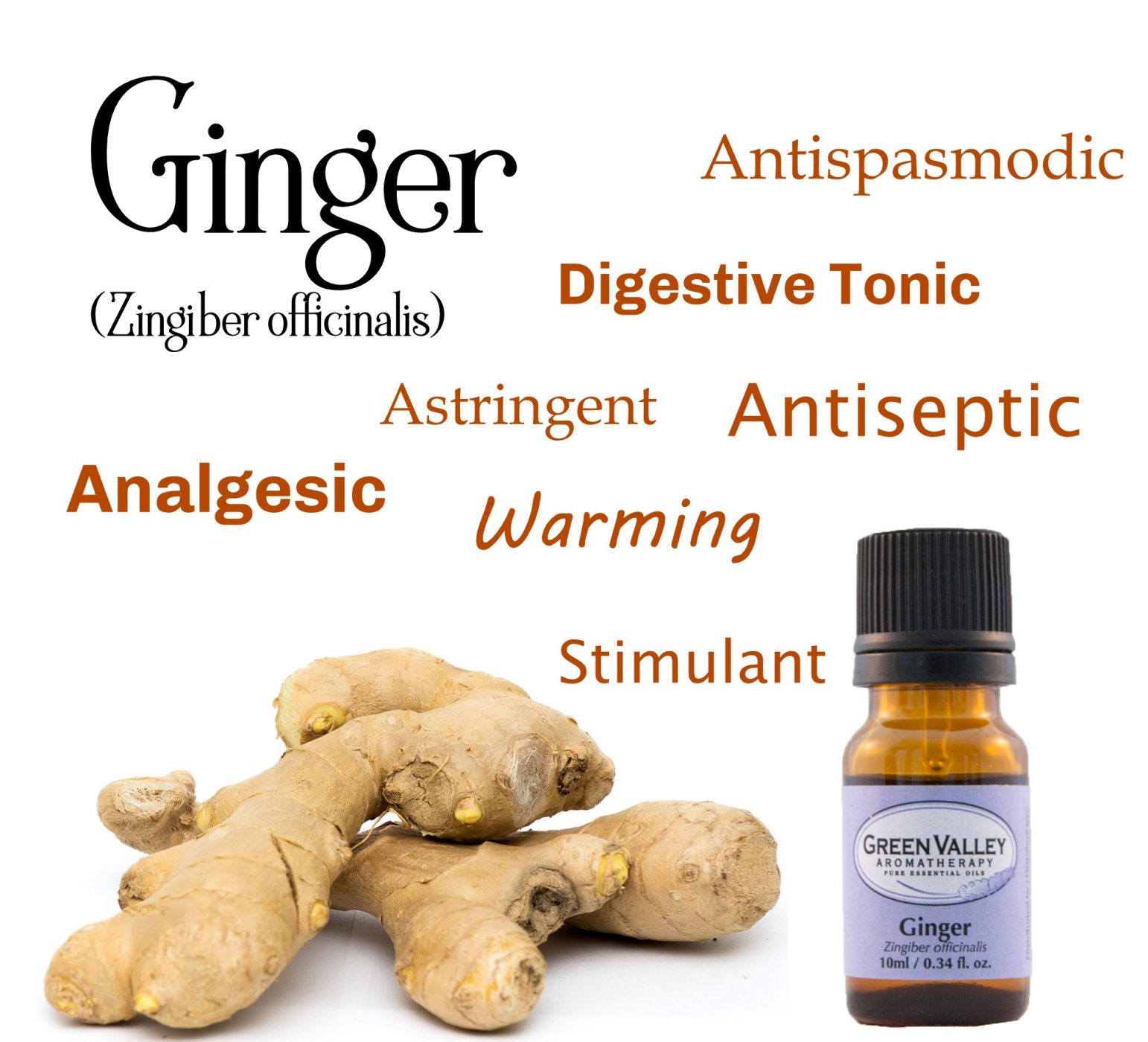 Properties of Ginger